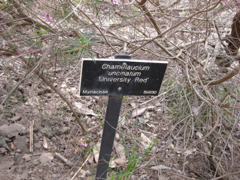 File:IMG 5083 hunt0904.jpg