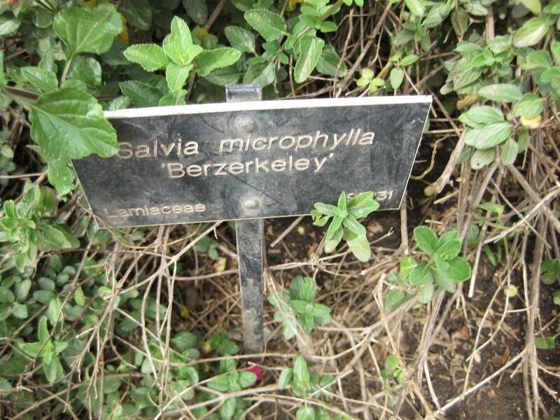 File:IMG 5085 hunt0904.jpg