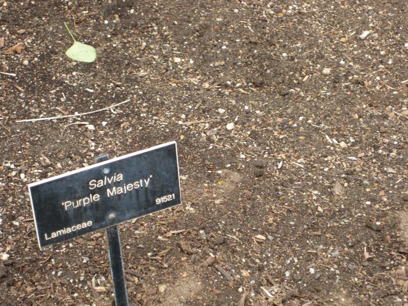 File:IMG 5093 hunt0904.jpg