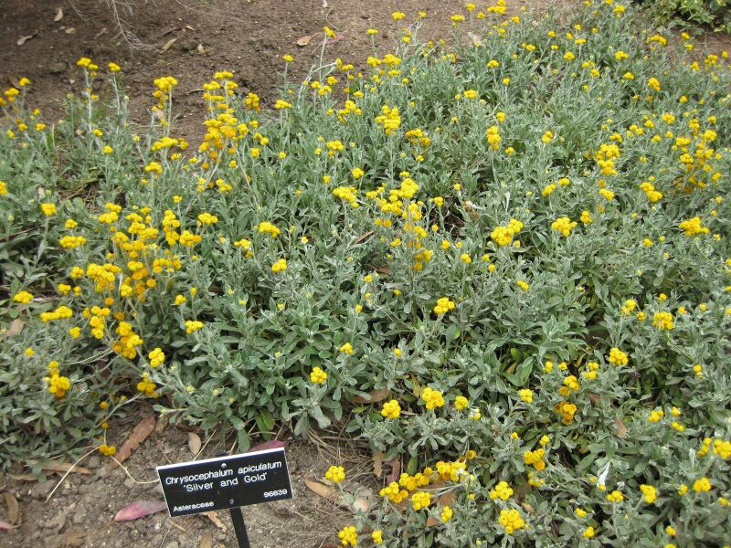 File:IMG 5095 hunt0904.jpg