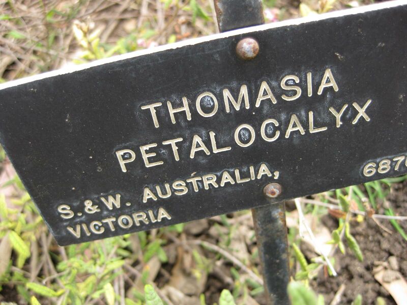 File:IMG 5103 hunt0904.jpg