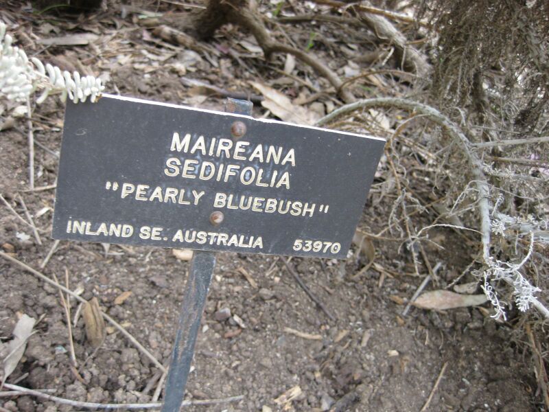 File:IMG 5106 hunt0904.jpg