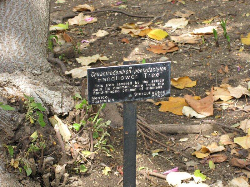 File:IMG 5112 hunt0904.jpg