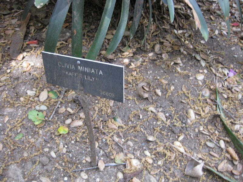 File:IMG 5119 hunt0904.jpg