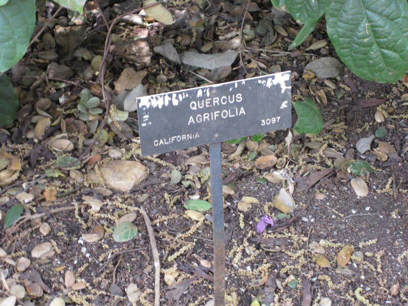 File:IMG 5123 hunt0904.jpg