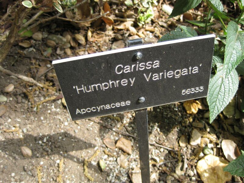 File:IMG 5125 hunt0904.jpg