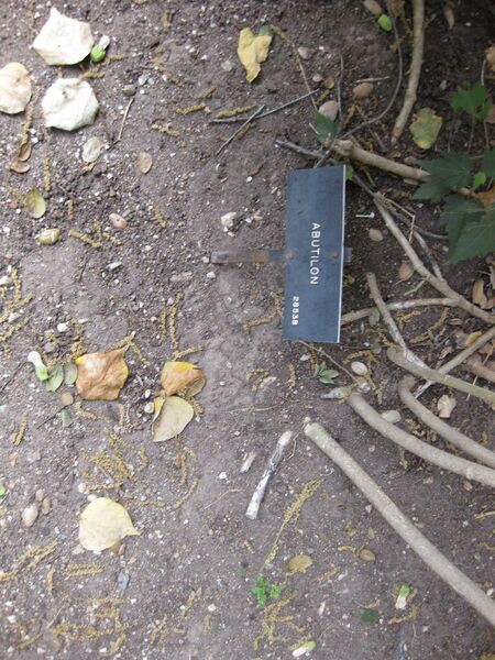 File:IMG 5128 hunt0904.jpg