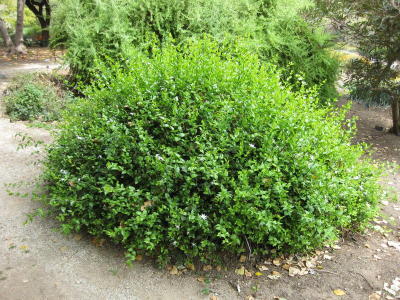 File:IMG 5131 hunt0904.jpg