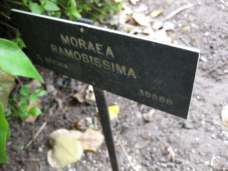 File:IMG 5134 hunt0904.jpg