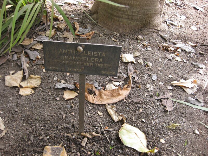 File:IMG 5138 hunt0904.jpg