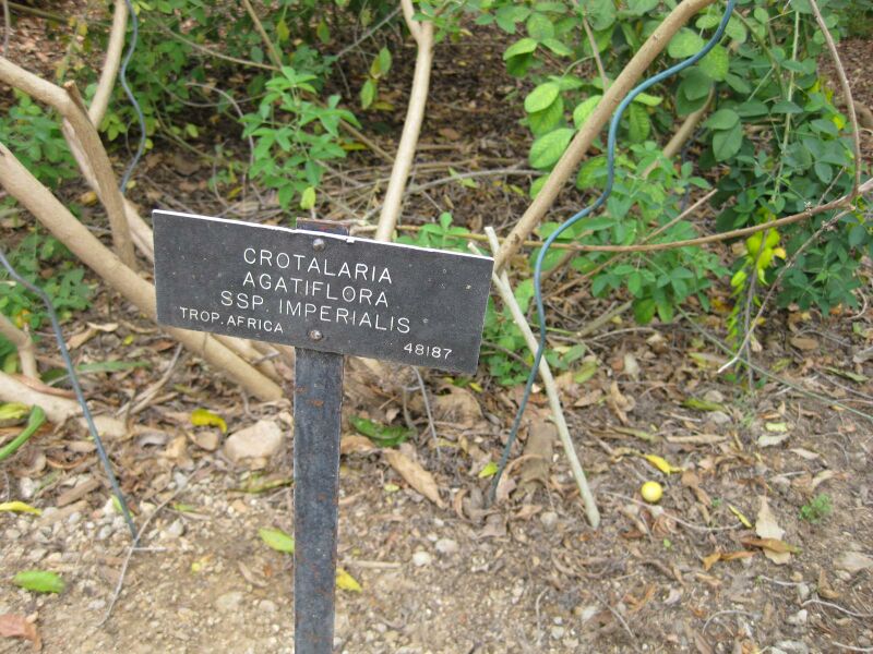 File:IMG 5164 hunt0904.jpg