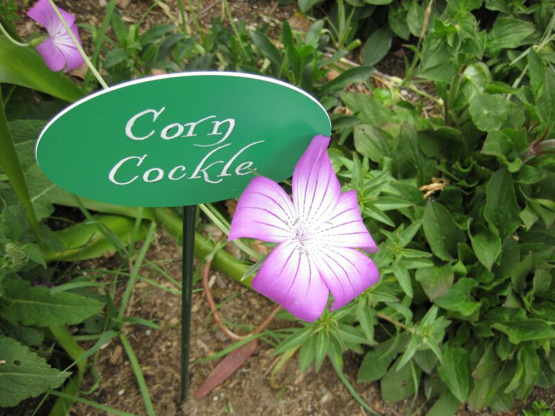 File:IMG 5188 hunt0904.jpg