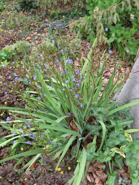 File:IMG 5201 hunt0904.jpg