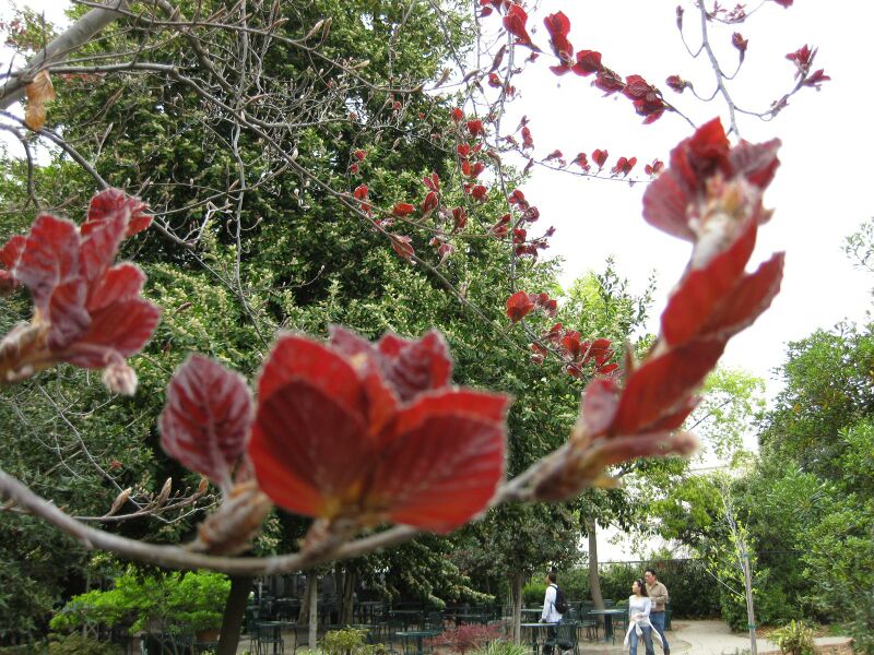 File:IMG 5214 hunt0904.jpg