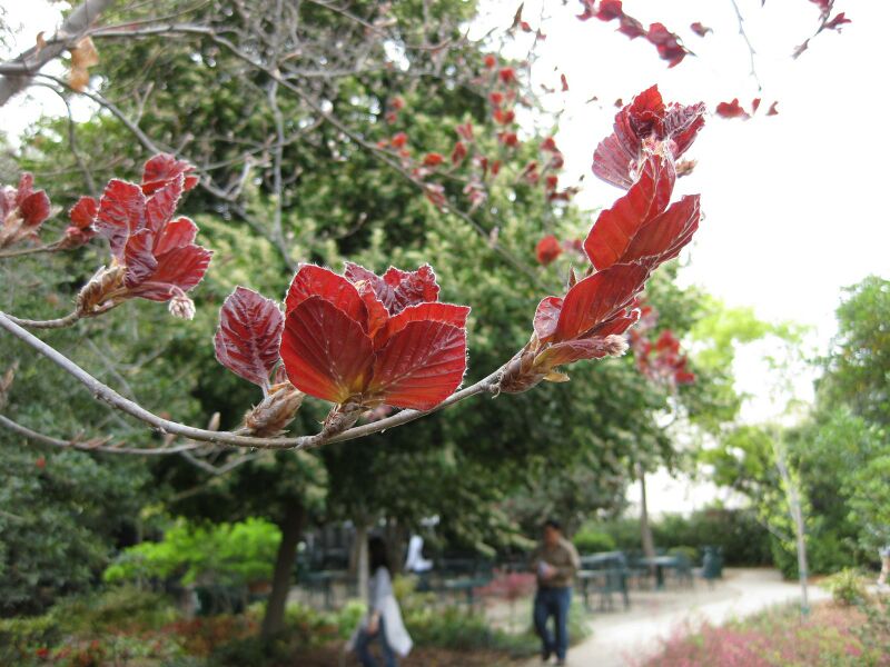 File:IMG 5215 hunt0904.jpg