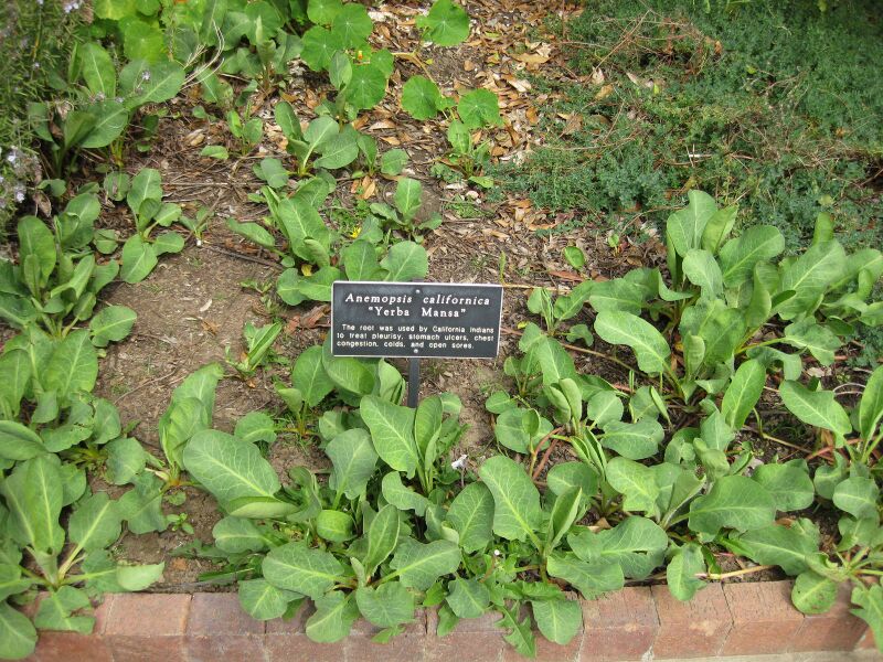 File:IMG 5230 hunt0904.jpg