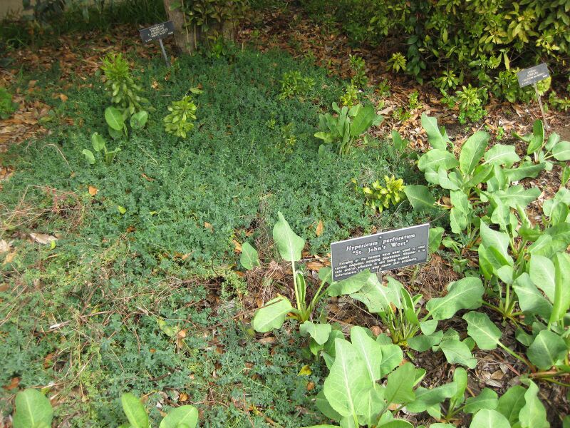 File:IMG 5231 hunt0904.jpg