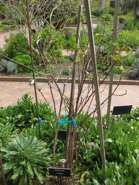 File:IMG 5245 hunt0904.jpg