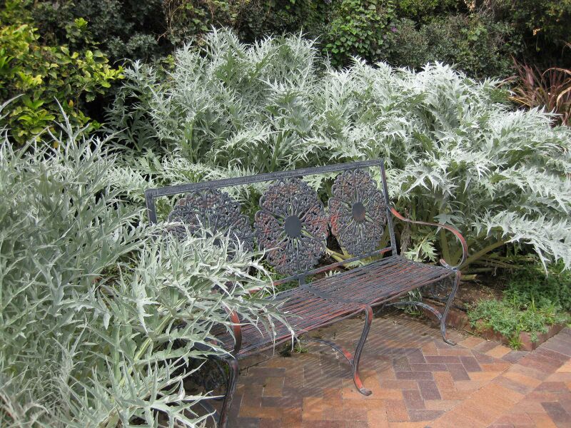 File:IMG 5246 hunt0904.jpg