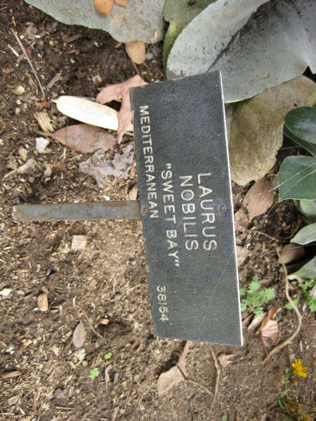 File:IMG 5251 hunt0904.jpg