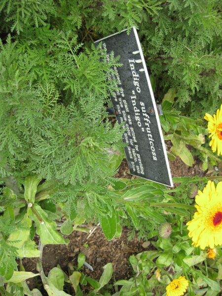 File:IMG 5254 hunt0904.jpg