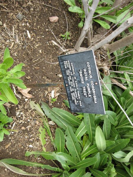 File:IMG 5257 hunt0904.jpg