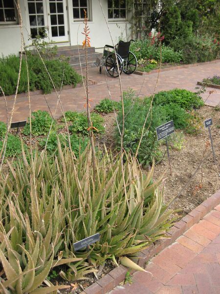 File:IMG 5259 hunt0904.jpg