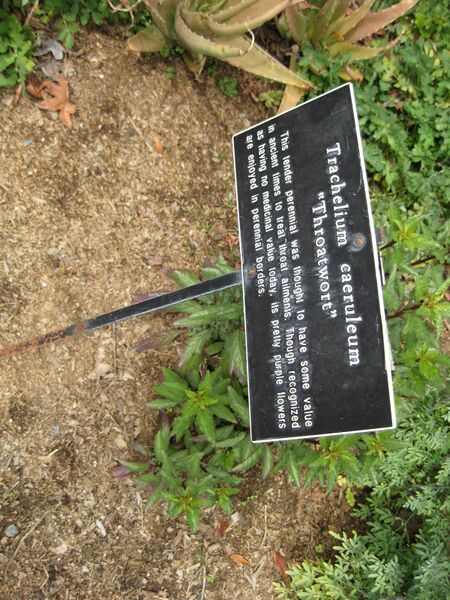 File:IMG 5263 hunt0904.jpg