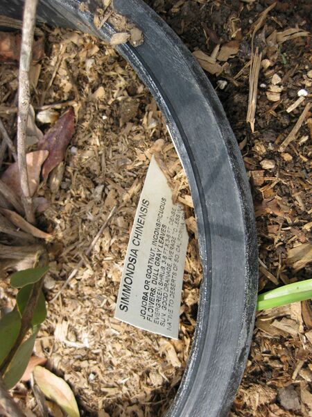 File:IMG 5276 hunt0904.jpg