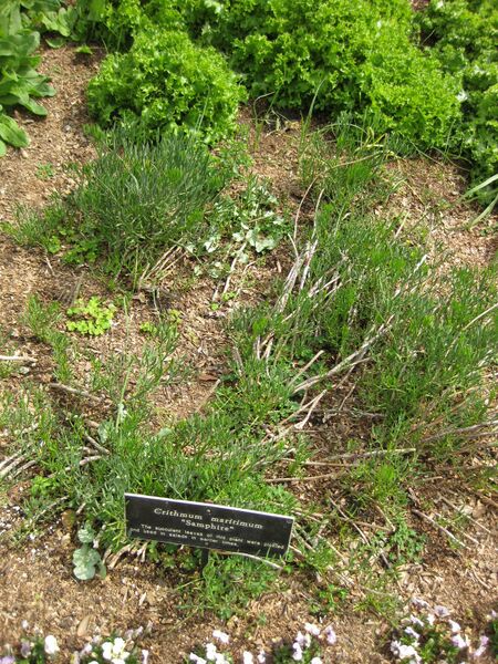 File:IMG 5309 hunt0904.jpg