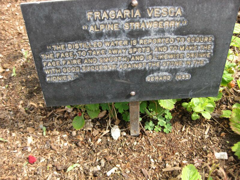 File:IMG 5312 hunt0904.jpg