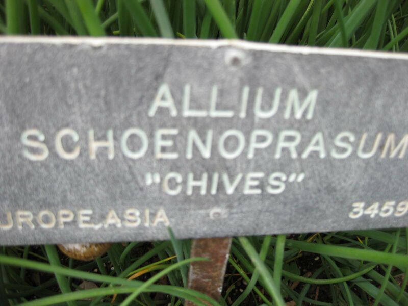 File:IMG 5324 hunt0904.jpg