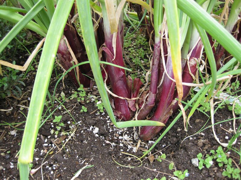 File:IMG 5326 hunt0904.jpg