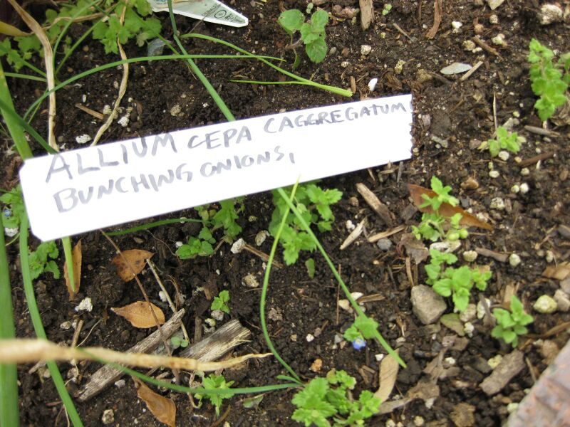 File:IMG 5327 hunt0904.jpg