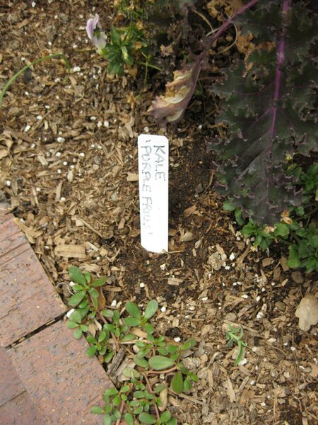 File:IMG 5333 hunt0904.jpg