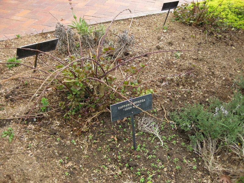 File:IMG 5338 hunt0904.jpg