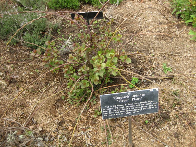 File:IMG 5347 hunt0904.jpg