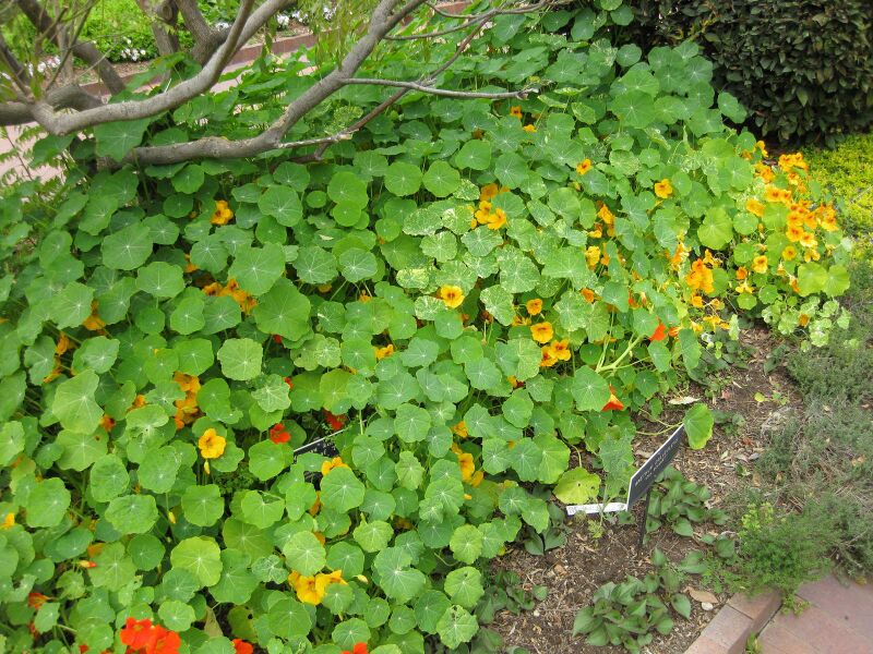 File:IMG 5353 hunt0904.jpg