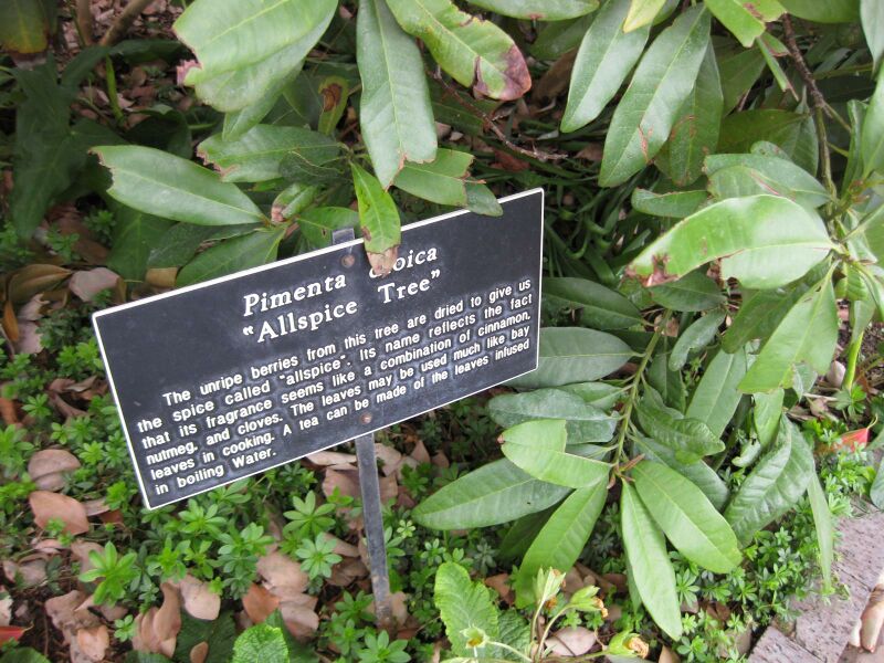 File:IMG 5356 hunt0904.jpg