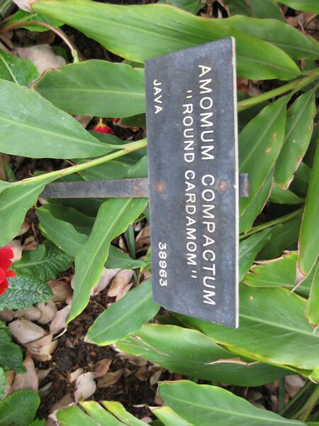 File:IMG 5358 hunt0904.jpg