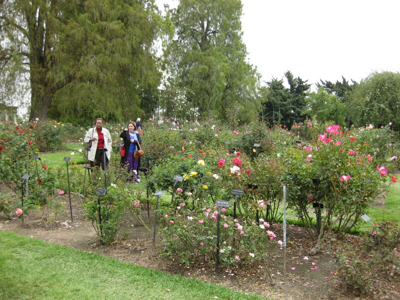 File:IMG 5361 hunt0904.jpg