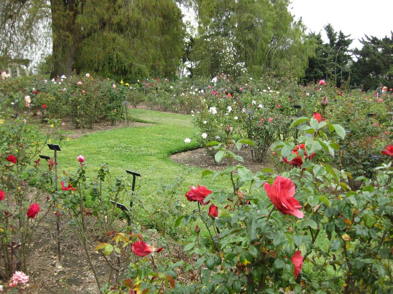 File:IMG 5364 hunt0904.jpg