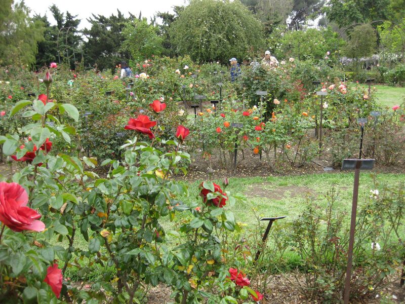 File:IMG 5365 hunt0904.jpg