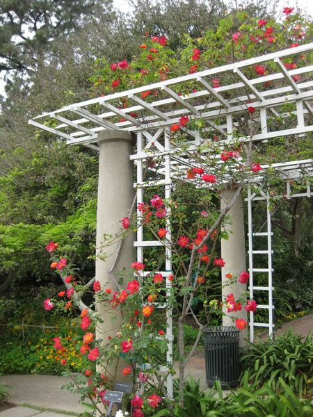 File:IMG 5366 hunt0904.jpg