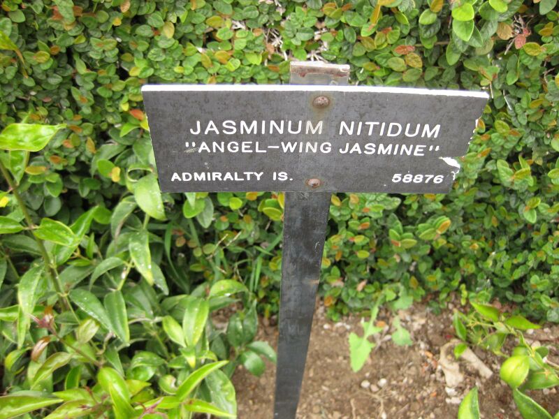 File:IMG 6814 hunt09jun.jpg