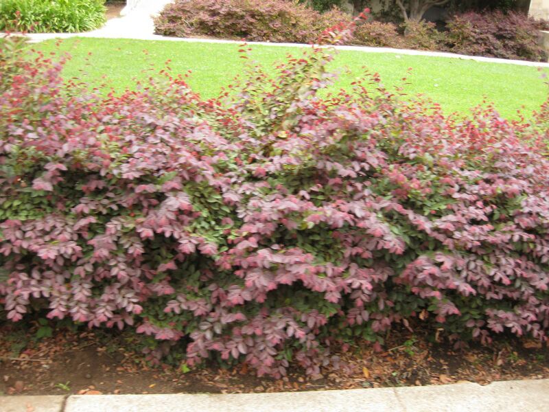 File:IMG 6815 hunt09jun.jpg