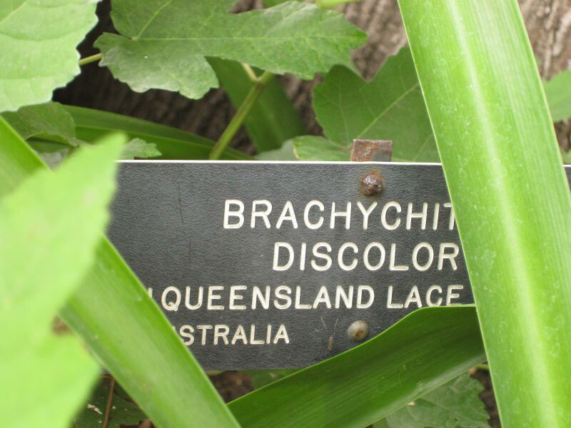 File:IMG 6829 hunt09jun.jpg