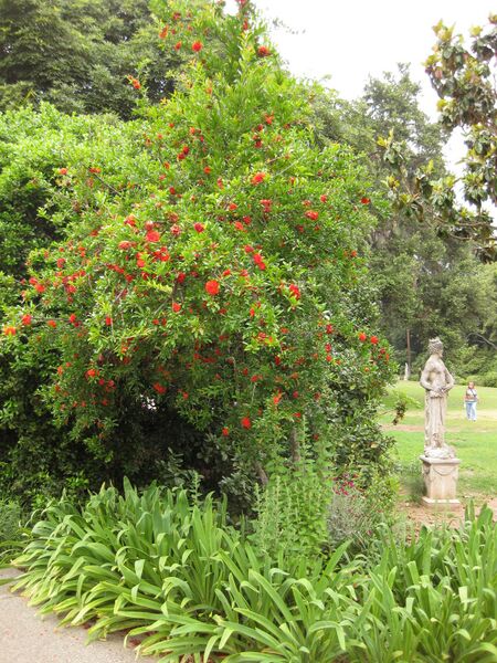 File:IMG 6834 hunt09jun.jpg