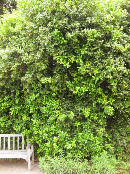 File:IMG 6839 hunt09jun.jpg