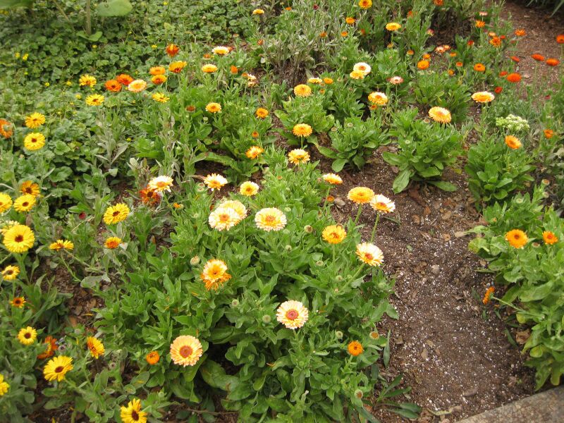 File:IMG 6848 hunt09jun.jpg